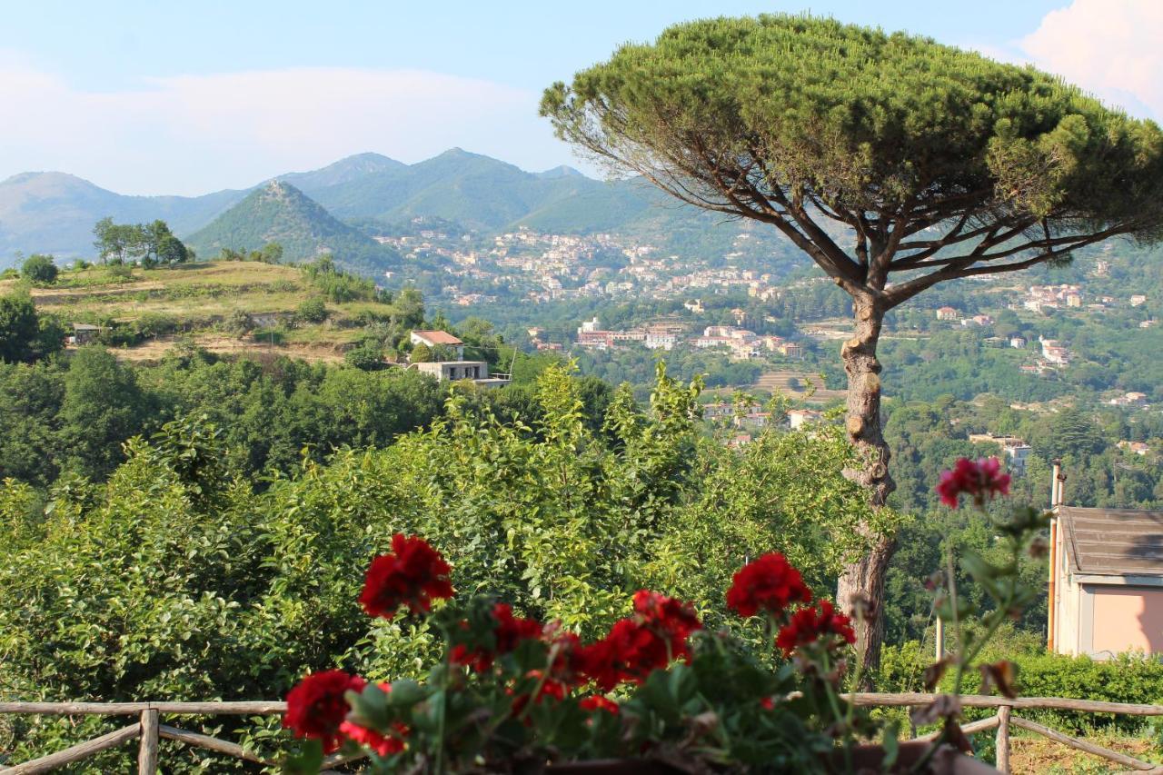 Casa Fasano Amalfi Coast Guest House Vietri Bagian luar foto